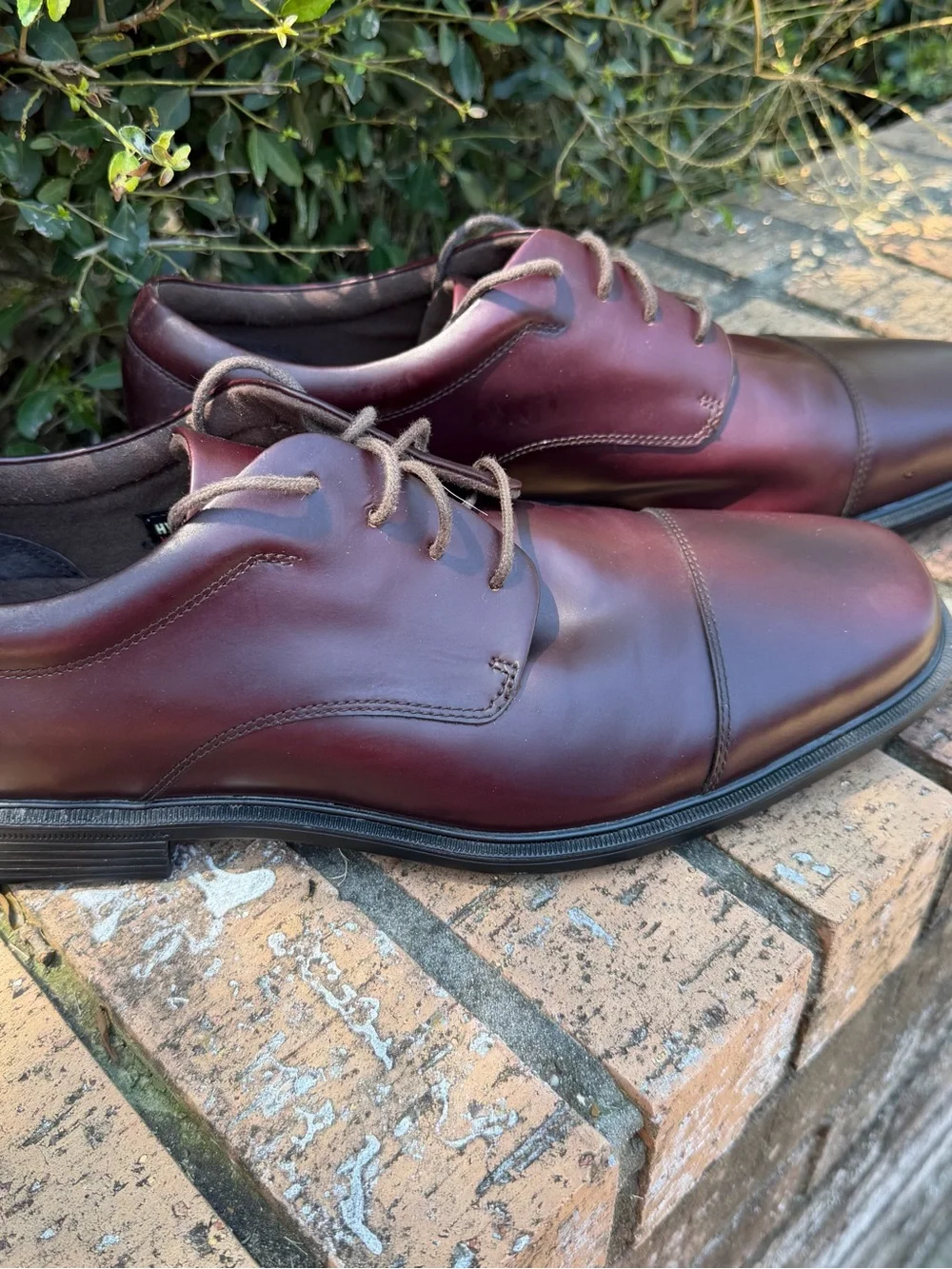 Burgundy Size 13N Rockport Ellingwood Waterproof Captoe Oxford Dress Shoes